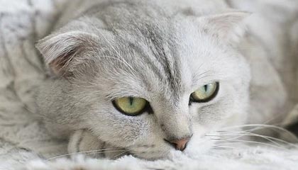 建业重获一胜充满信心，雄鹿再现神勇