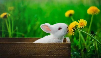 强队对阵，球场上火药味十足